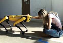 O Polkę biją się miliarderzy. Agnieszka Pilat robi furorę za oceanem