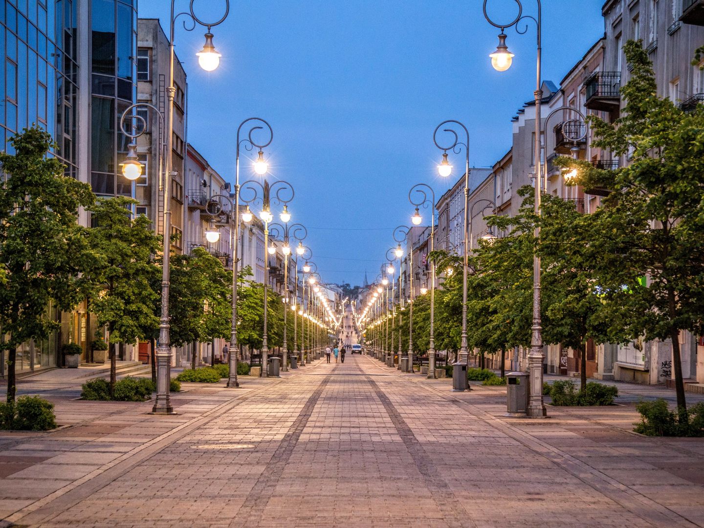 Pogoda w Kielcach. Prognoza na jutro (sobota, 24 maja 2025). Przyjazna aura na cały dzień