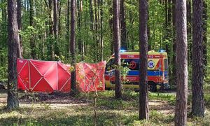 14-latka zmarła po upadku z konia. Jest decyzja prokuratury