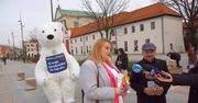 Lublin kontra Zakopane. Fotka z misiem "za free"