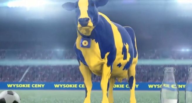 Lidl jako "krowa, która dużo ryczy i mało mleka daje". Tak odgryza się Biedronka