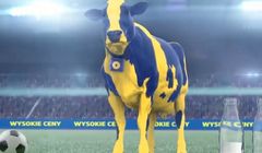 Lidl jako "krowa, która dużo ryczy i mało mleka daje". Tak odgryza się Biedronka