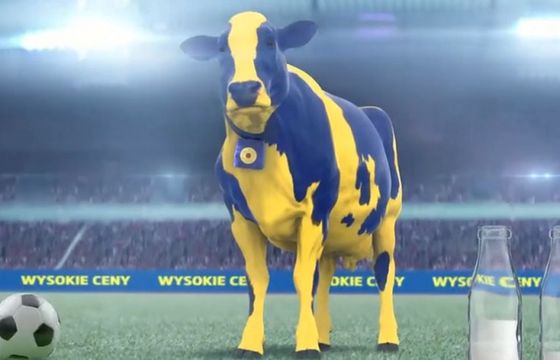 Lidl jako "krowa, która dużo ryczy i mało mleka daje". Tak odgryza się Biedronka