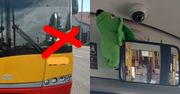 799 zł kary za pluszaka w autobusie miejskim. ZTM kontra jamnik
