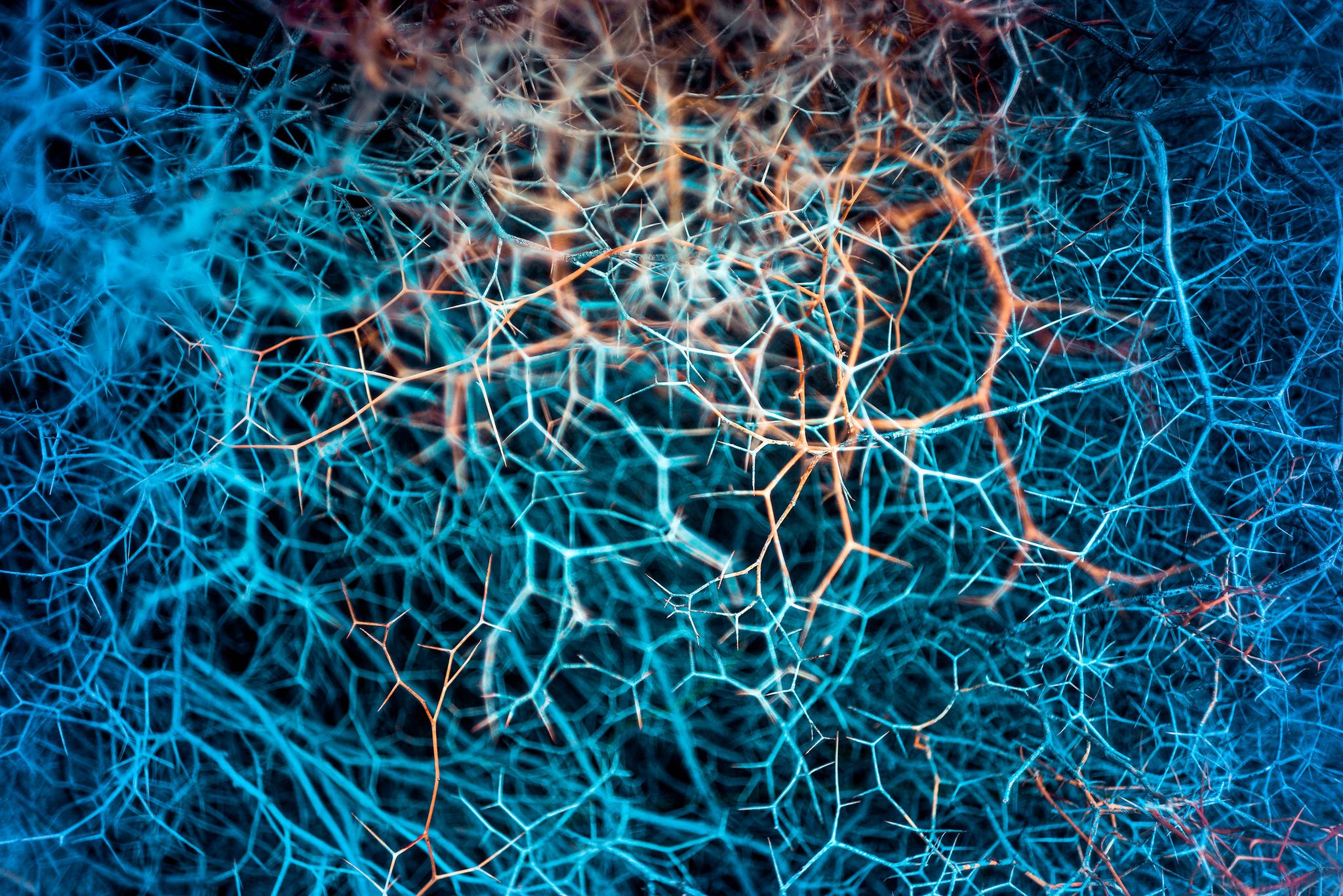 ExperimentalOptics 35 mm f/2.7 - najmniejszy i najjaśniejszy obiektyw na świecie 7