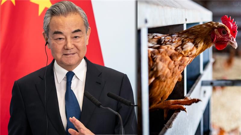 Chiny ponownie otworzą się na import drobiu z Polski?