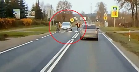 Ogromny mandat. "Pan STOP" tylko rozłożył ręce