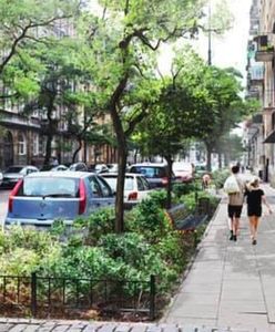 Warszawa. Triumf bojowników zieleni. Stalowa zarośnie