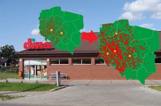 Dino chwali się nowymi sklepami i zyskami. A akcje spółki lecą ostro w dół