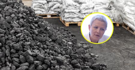 Wiceminister apeluje do Polaków: nie stójcie w kolejkach po węgiel. Oto co radzi