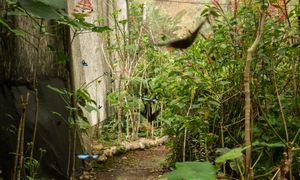 Owady i upał. Naukowcy ostrzegają przed skutkami