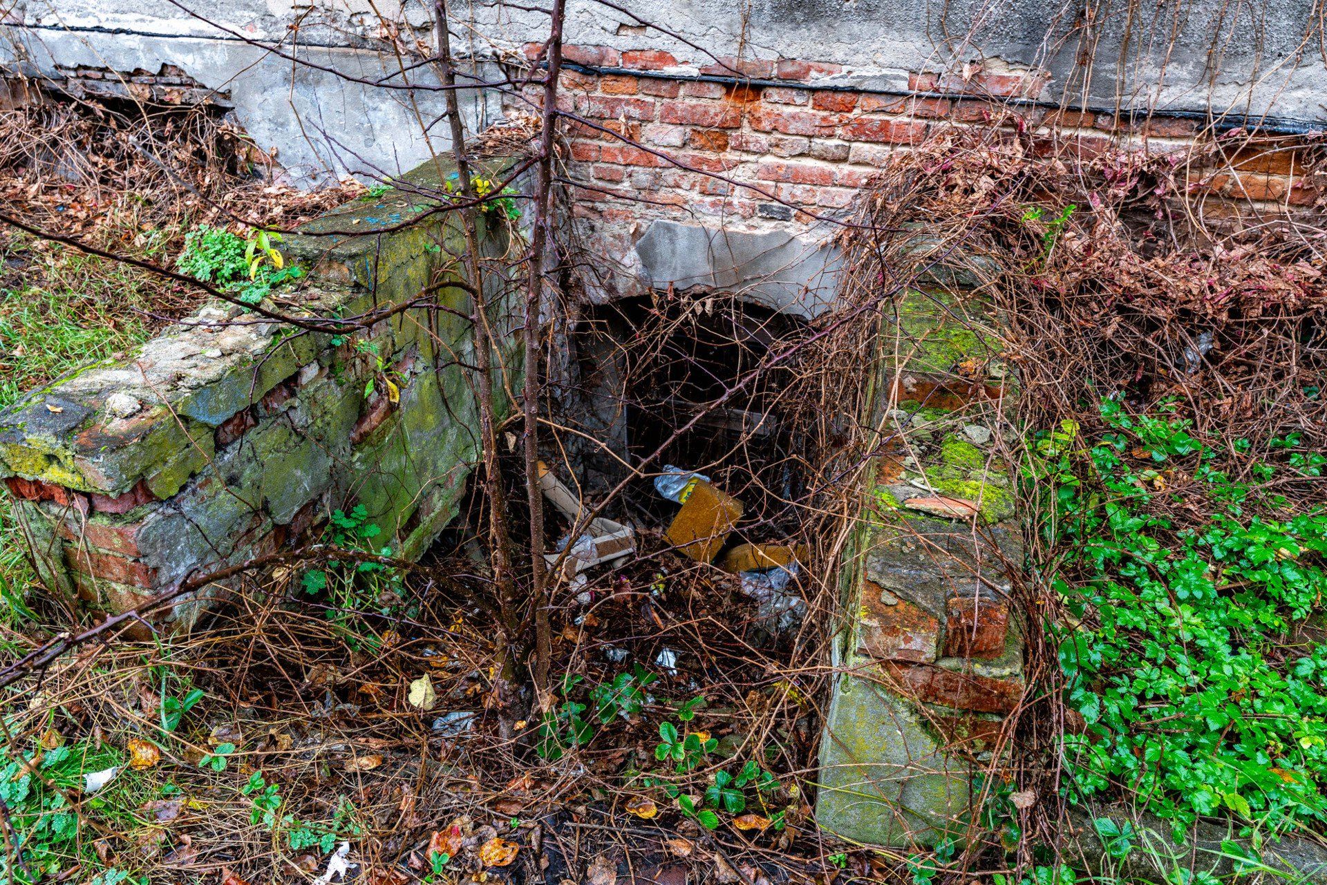 Zniszczony dwór w Gdańsku z XVIII wieku