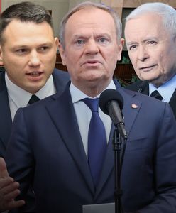 Sondaż partyjny. Umacnia się trzecia siła w polskiej polityce
