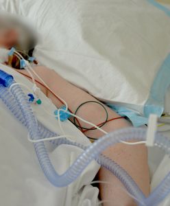 "Te liczby są zatraszające". Poseł Lewicy bije na alarm