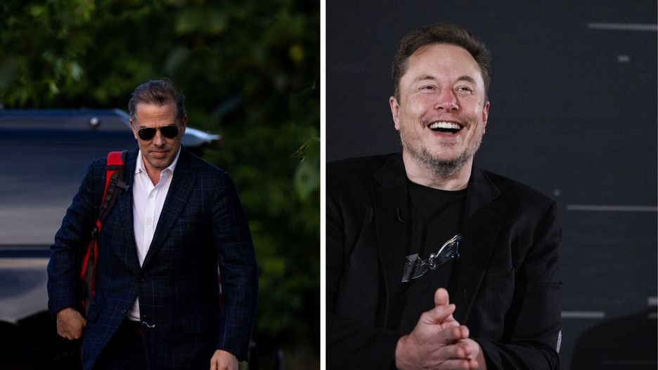 Hunter Biden, Elon Musk