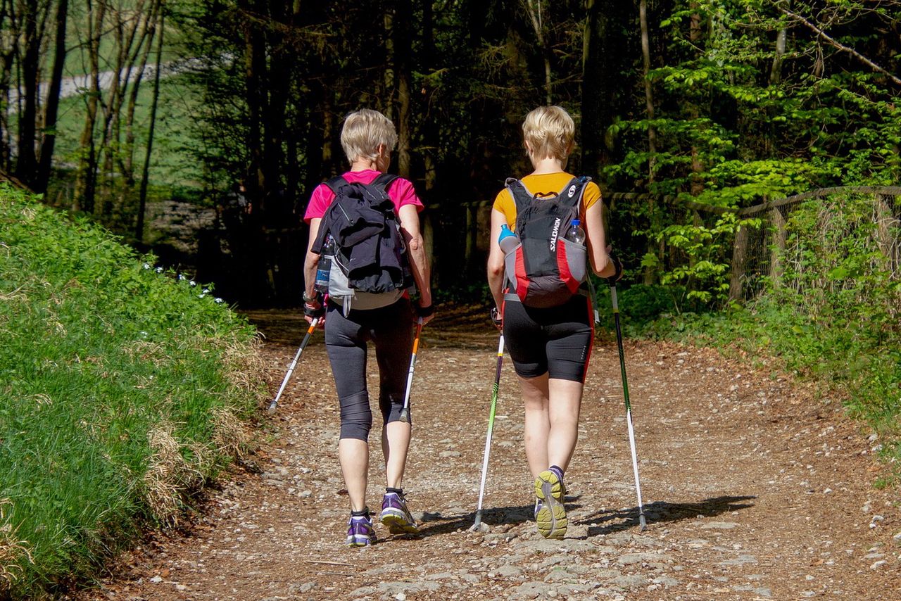 Przy nordic walking wystarczą kije, dobre obuwie i odpowiednia technika 