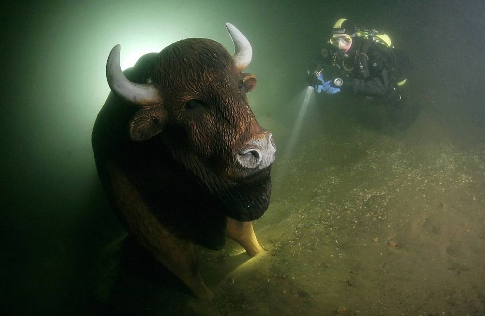 Z aparatem pod wodą, czyli pomysł na fotograficzne wakacje 8