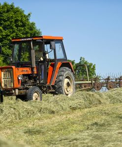Fotopułapka na polu. Rolnik namierzył złodzieja. To bohater popularnego serialu