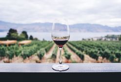 Вино відкриває особистість людини. Дослідження