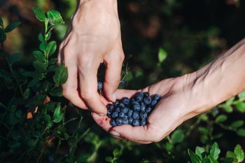 Lipcowe superfoods z polskich pól i ogrodów: co jeść, by wykorzystać sezon w pełni?