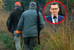 Zakaz polowania nad Odrą? Zbliża się niebezpieczny moment. Ekolodzy alarmują