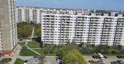 Poznań: Makabryczne odkrycie. Komornik znalazł zmumifikowane zwłoki