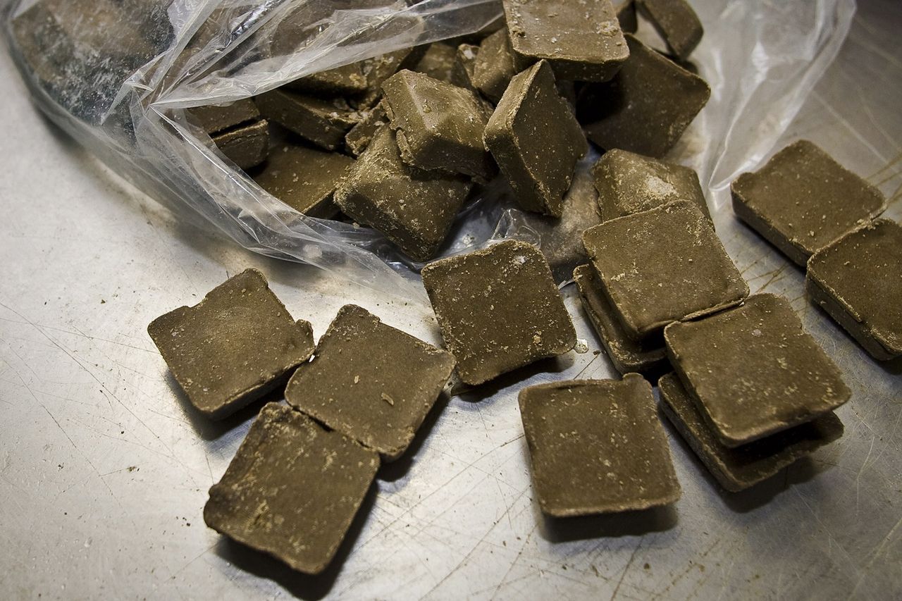 Szczepionki przeciwko wściekliźnie dla lisów. Samoloty będą zrzucać brunatne kostki