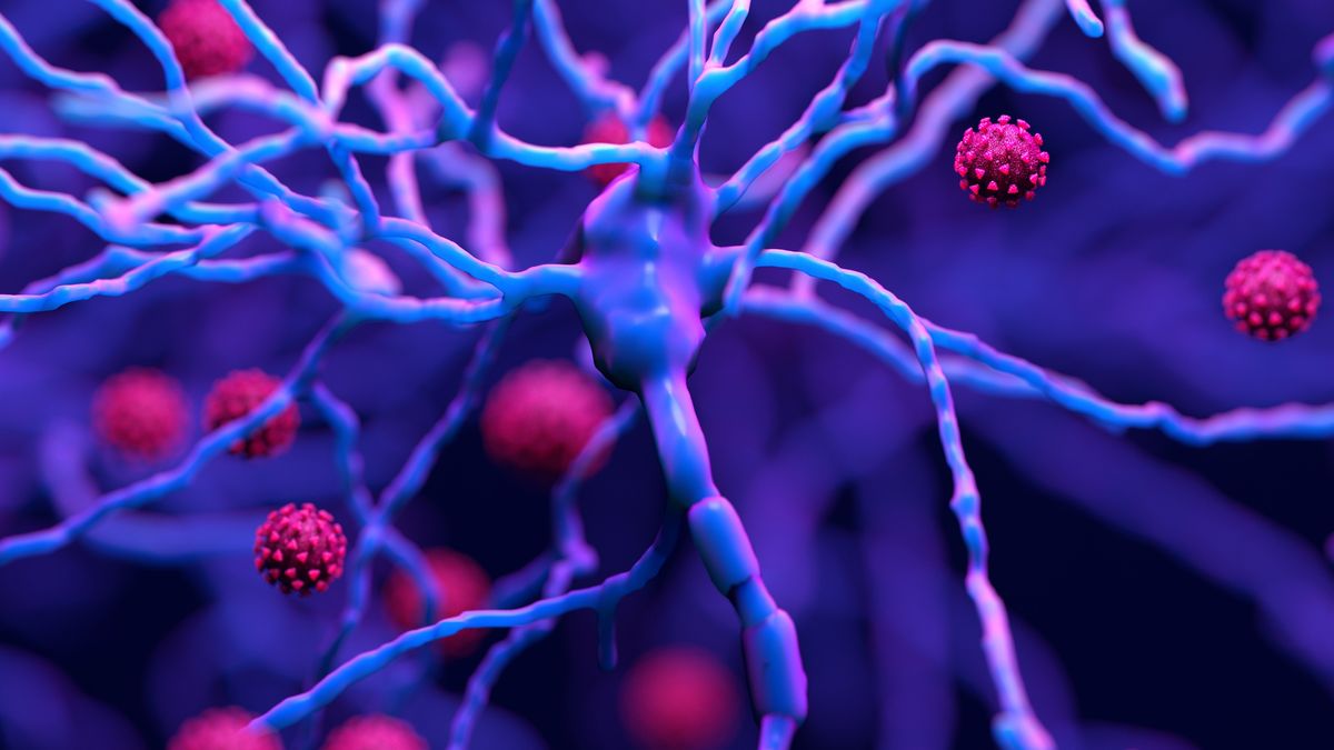 Naukowcy odkryli u kobiet, które przeszły infekcję COVID-19, zmiany cyklu menstruacyjnym