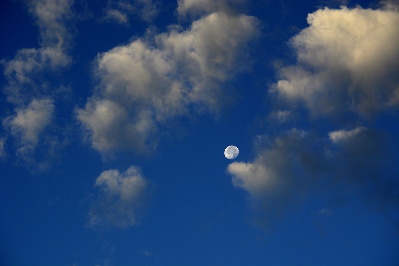 Niebieski Księżyc. Niezwykłe zjawisko już w ten weekend - W ten weekend na niebie pojawi się niebieski Księżyc