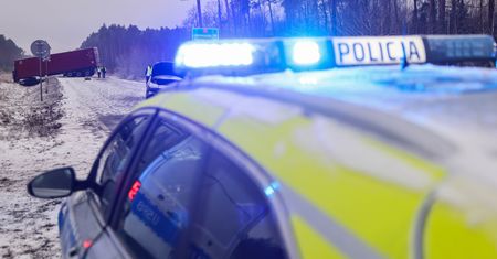 Wypadek ciężarówki z 170 świniami na DK 15