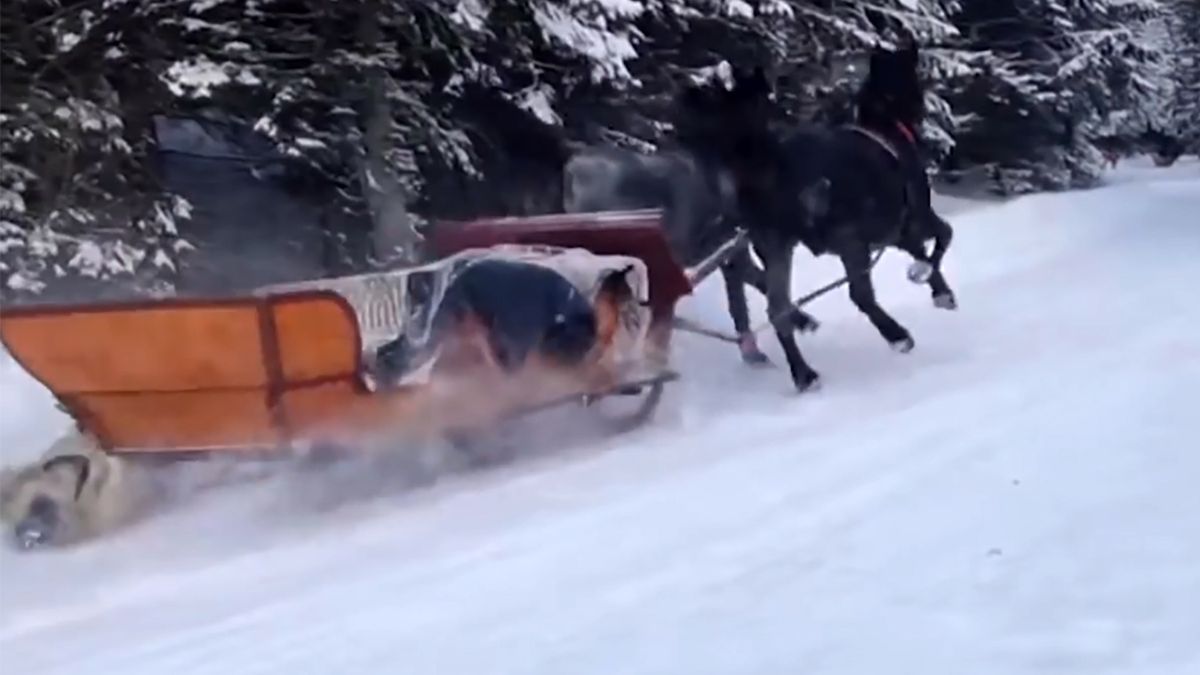 Spłoszone konie rzuciły się w dół drogą do Morskiego Oka