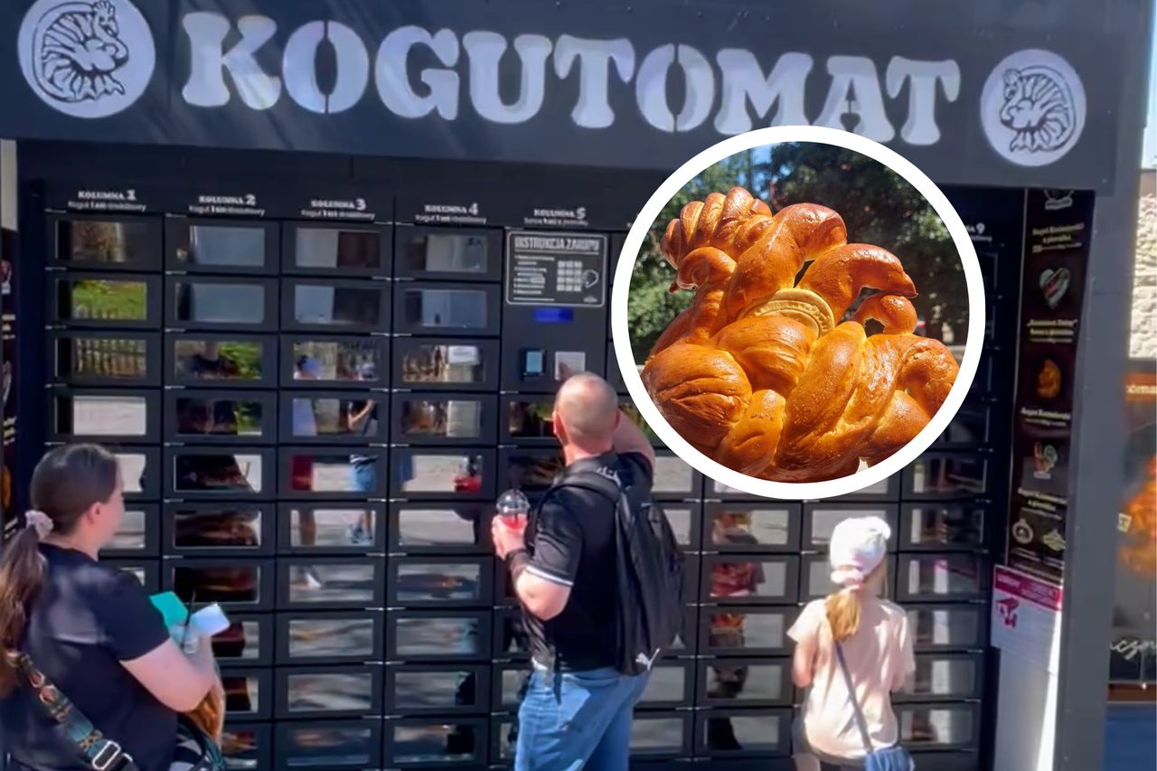 Kogut z automatu? W Kazimierzu Dolnym to możliwe i smakuje lepiej niż drogie drożdżówki
