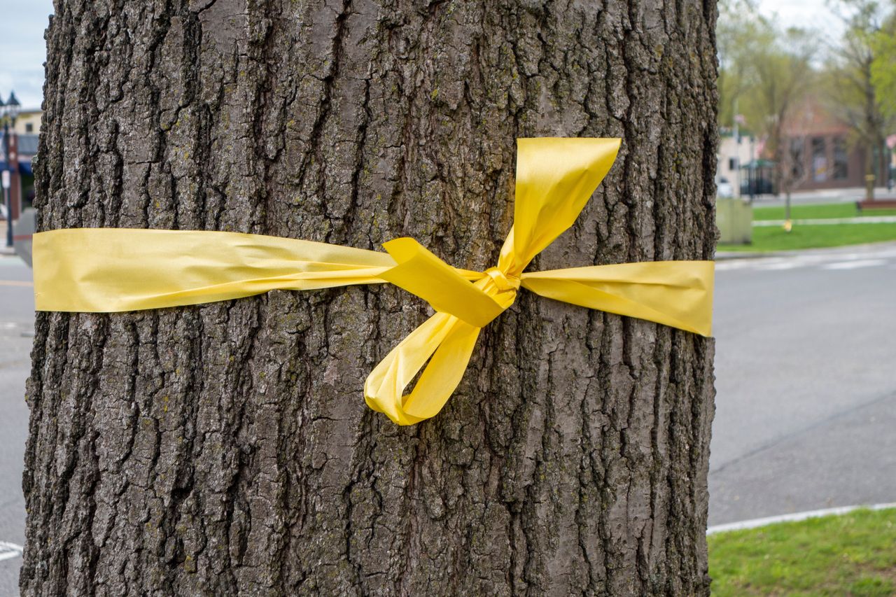 Hang a yellow ribbon in the garden