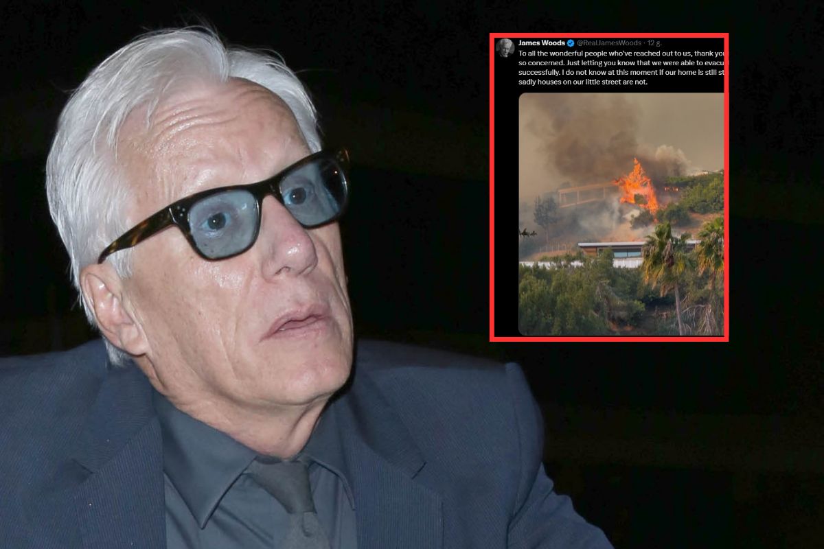 James Woods pokazał skutki pożaru w Hollywood