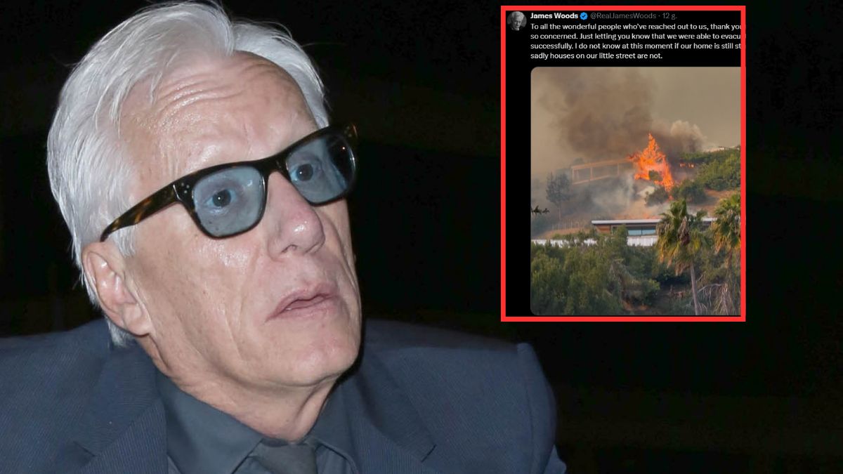 James Woods pokazał skutki pożaru w Hollywood