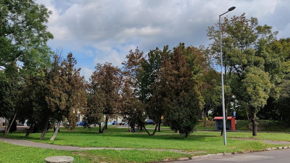 Dąbrowa Górnicza. Skwer przy ul. Stacyjnej do końca roku wzbogaci się o tężnię solankową.