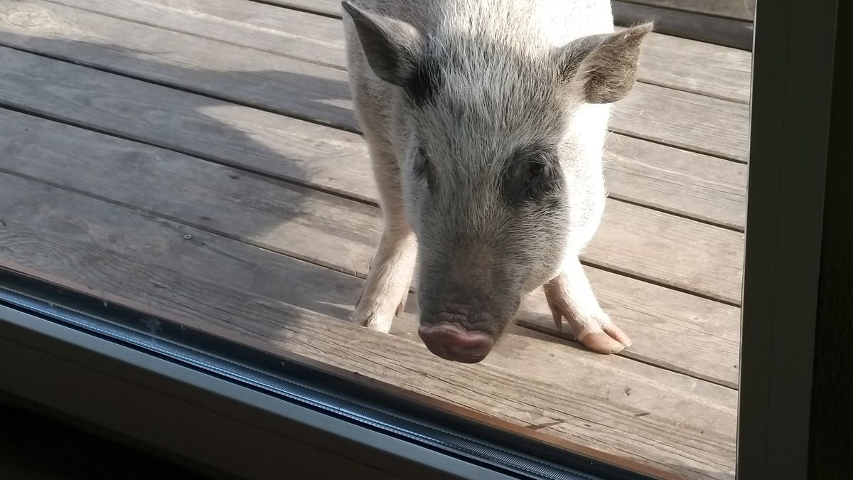 Zdjęcie ilustracyjne. 