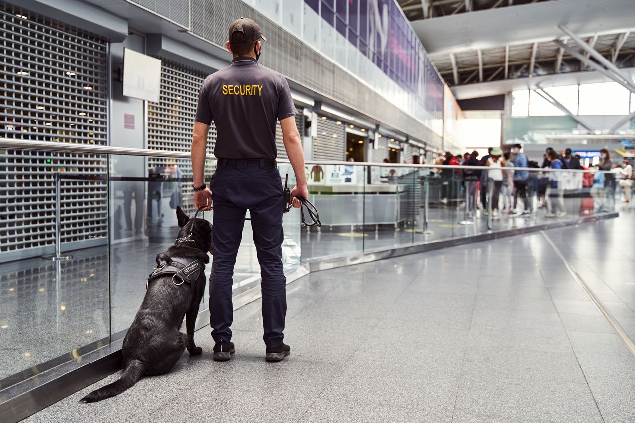 Airport officer, illustrative photo