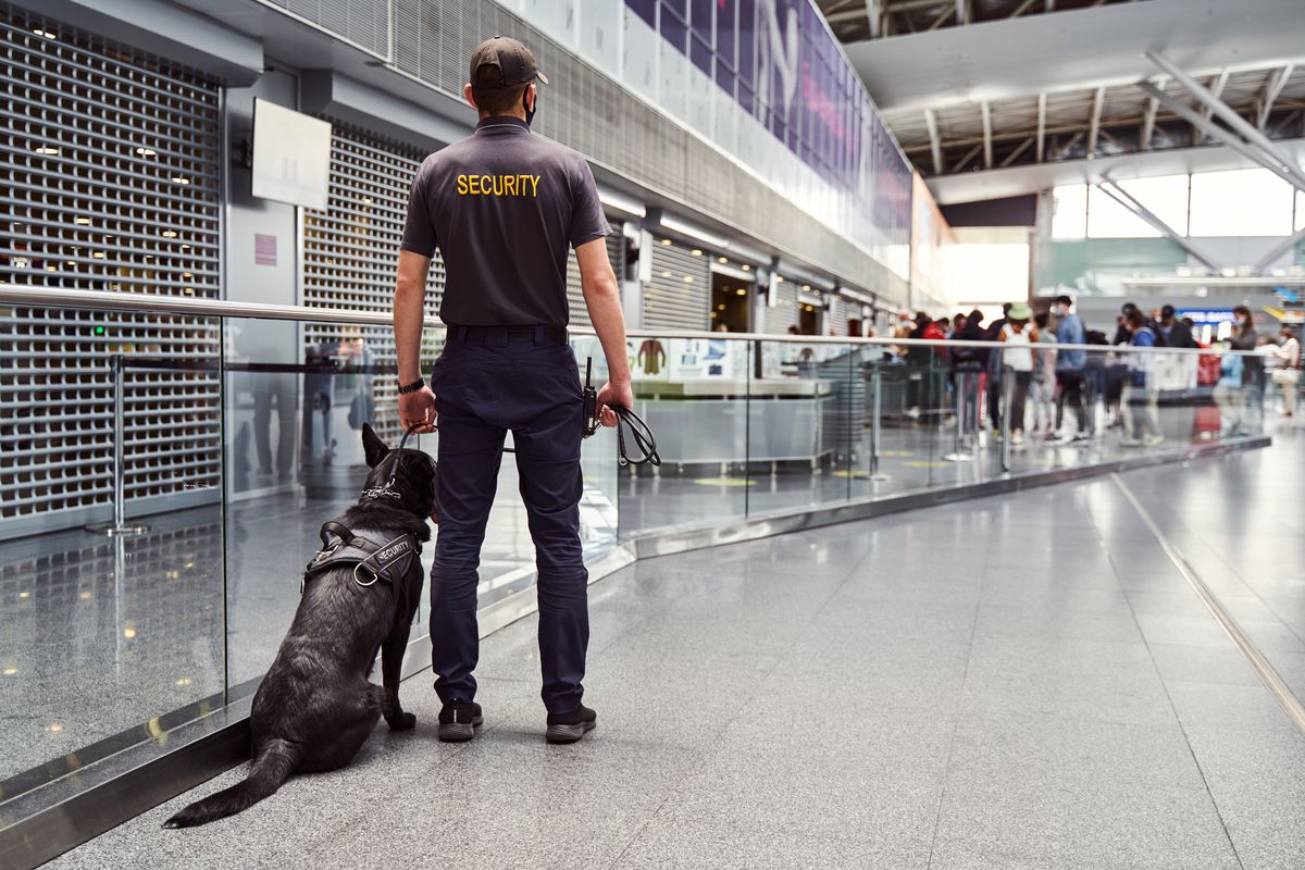 Funkcjonariusz na lotnisku, zdjęcie ilustracyjne