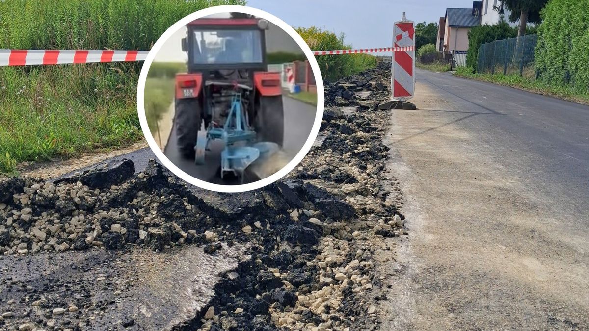 Rolnik zaorał drogę w Gliwicach. Sąsiedzi zajęli się jego psem