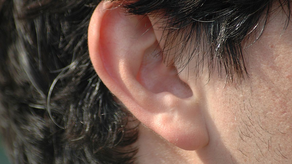 hearing
portrait of an ear
binabina
"Portrait, Little Boys, Men, Auricula, Sound, Deaf, Music, Whispering, Listening, Using Senses, Human Skin, Caucasian, One Person, Black, Part Of, Macro, Close-up, Human Ear, Human Hair, The Human Body, People, auditive, auditory, Earlobe, handcarves, Body, Medicine And Science, People, Medical"