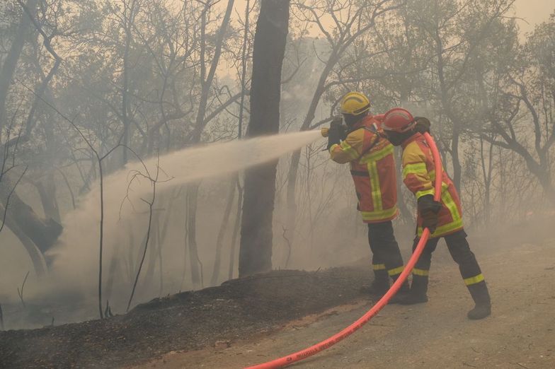 Wielkie pożary we Francji. Strażacy walczą z żywiołem na Lazurowym Wybrzeżu