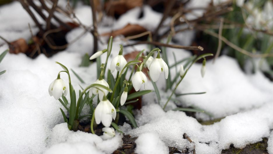 Pogoda. Zima nie powiedziała ostatniego słowa. Wróci
