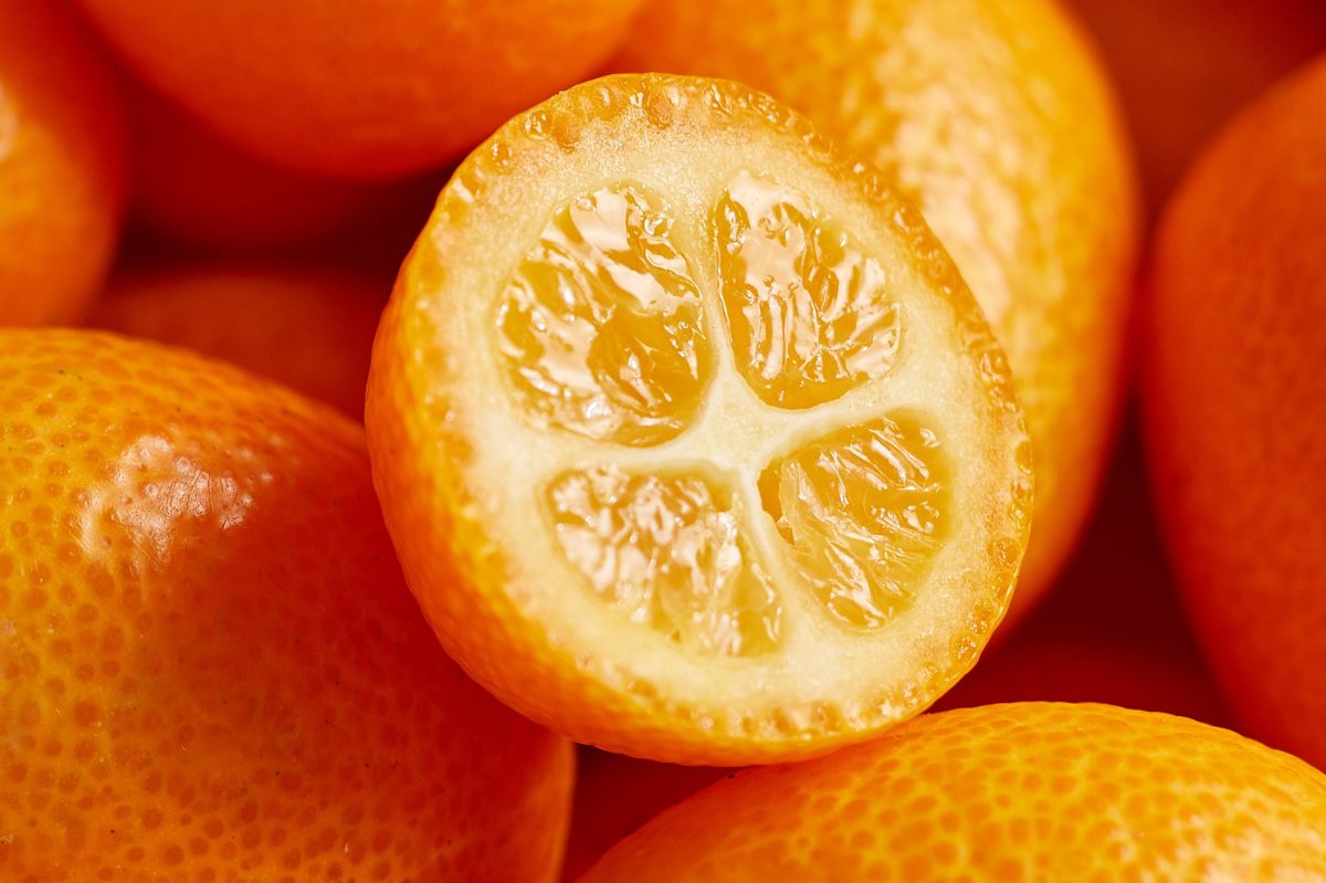 Kumquats: The hidden citrus gem boosting your health