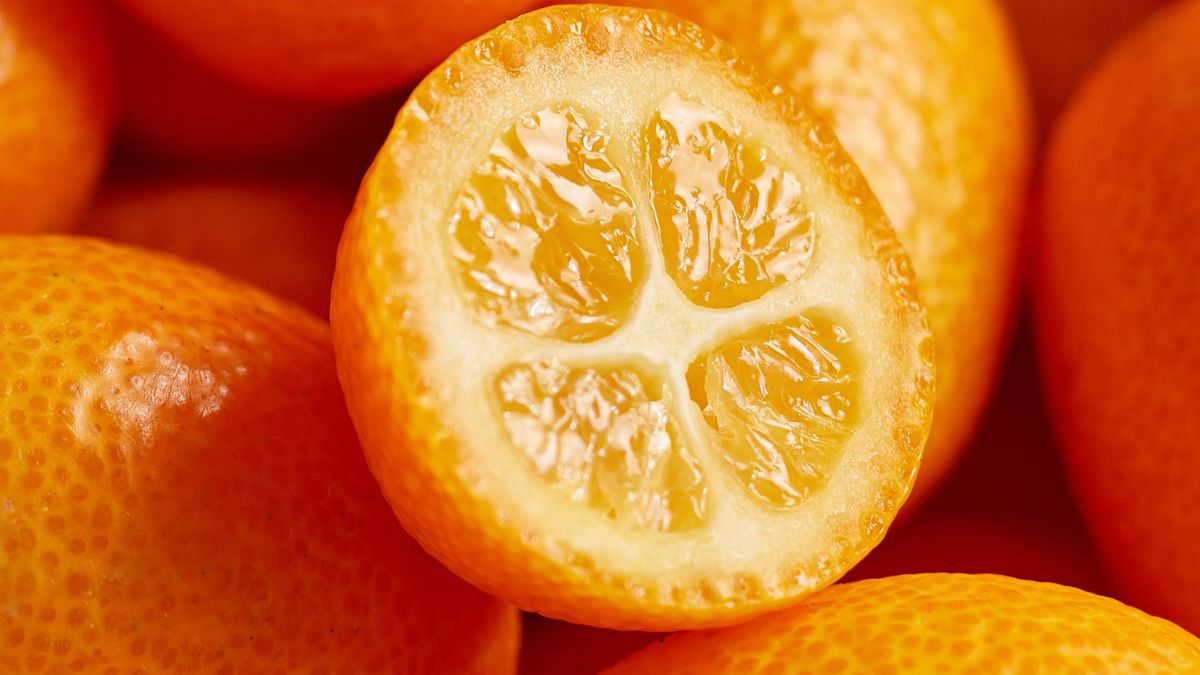 Kumkwat to jeden z mniej popularnych cytrusów