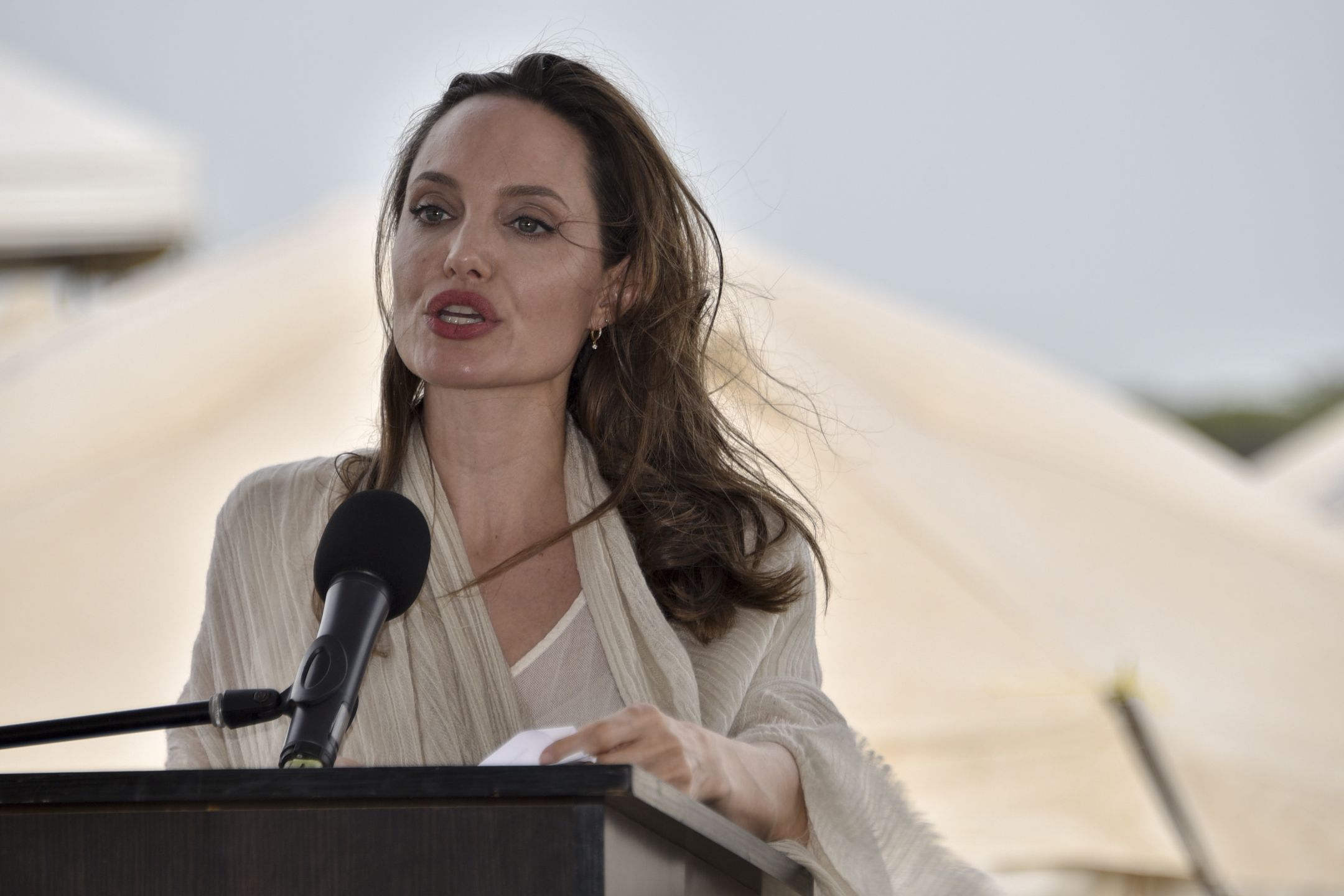 Angelina Jolie walczy o opiekę nad dziećmi