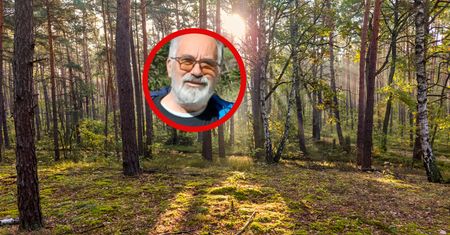 "Wręcz masowo". Wysyp w polskich lasach. Ekspert ogłasza