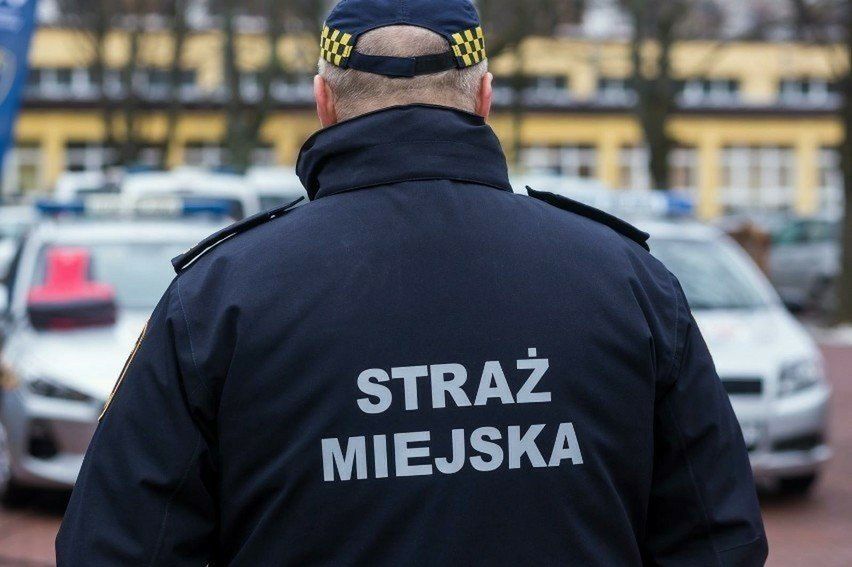 Straż miejska z Rybnika z dostępem do Centralnej Ewidencji Emisyjności Budynków