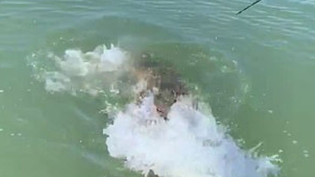 Łowił ryby, gdy nagle..