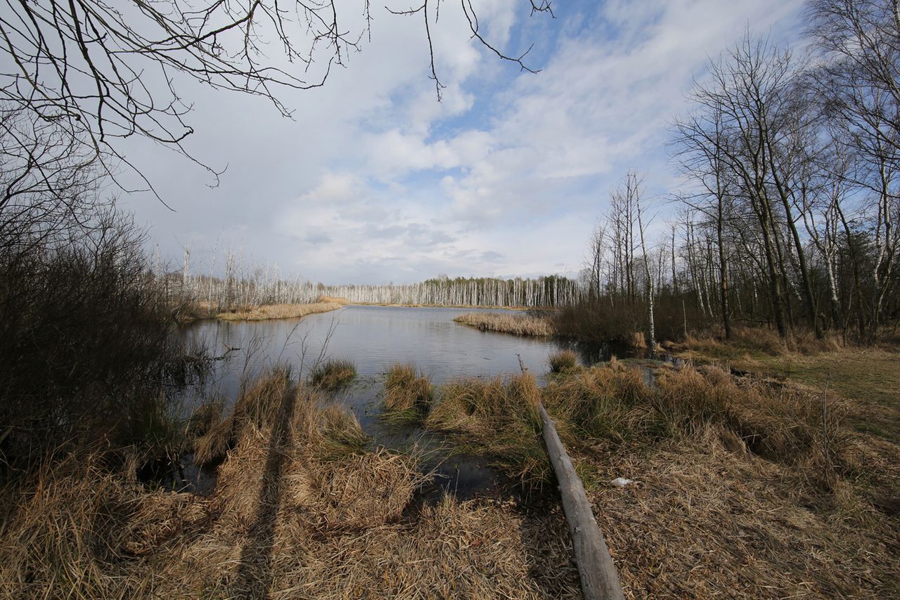 © Jarosław BrzezińskiCanon EF 11-24 mm f/4L USM, ogniskowa 11 mm, przysłona f/14, pełen kadr.